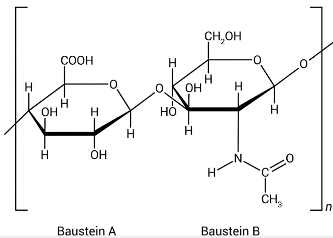 Chemische Grafik zweier Zucker-Bausteine (Baustein A und B) einer Polymerkette mit OH-, COOH- und NHCO-Gruppen.